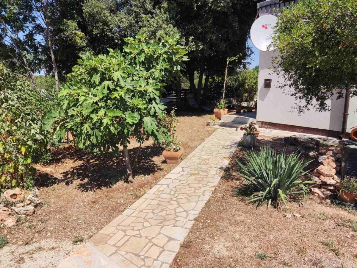 Viva 2 Rovinj Exterior foto